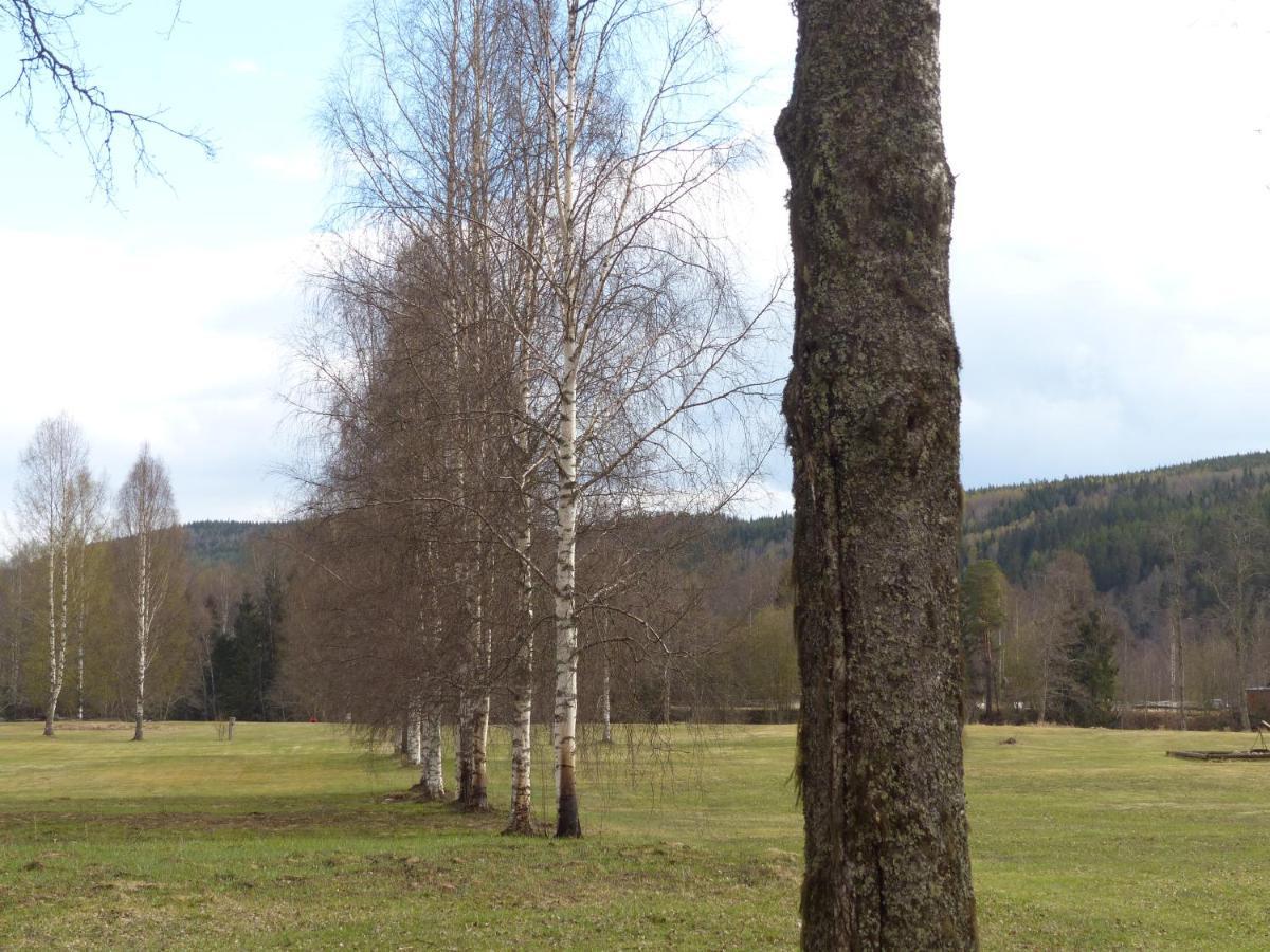 Ferienhaus Björkebo Stöllet Exterior foto